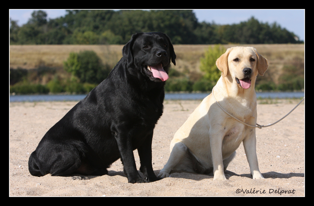 Bandit et Eva