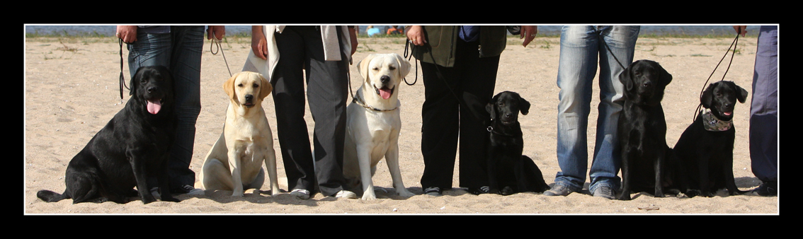 Bandit avec ses enfnats � Sully sur Loire
